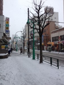 雪かき(雪の大久保通り)