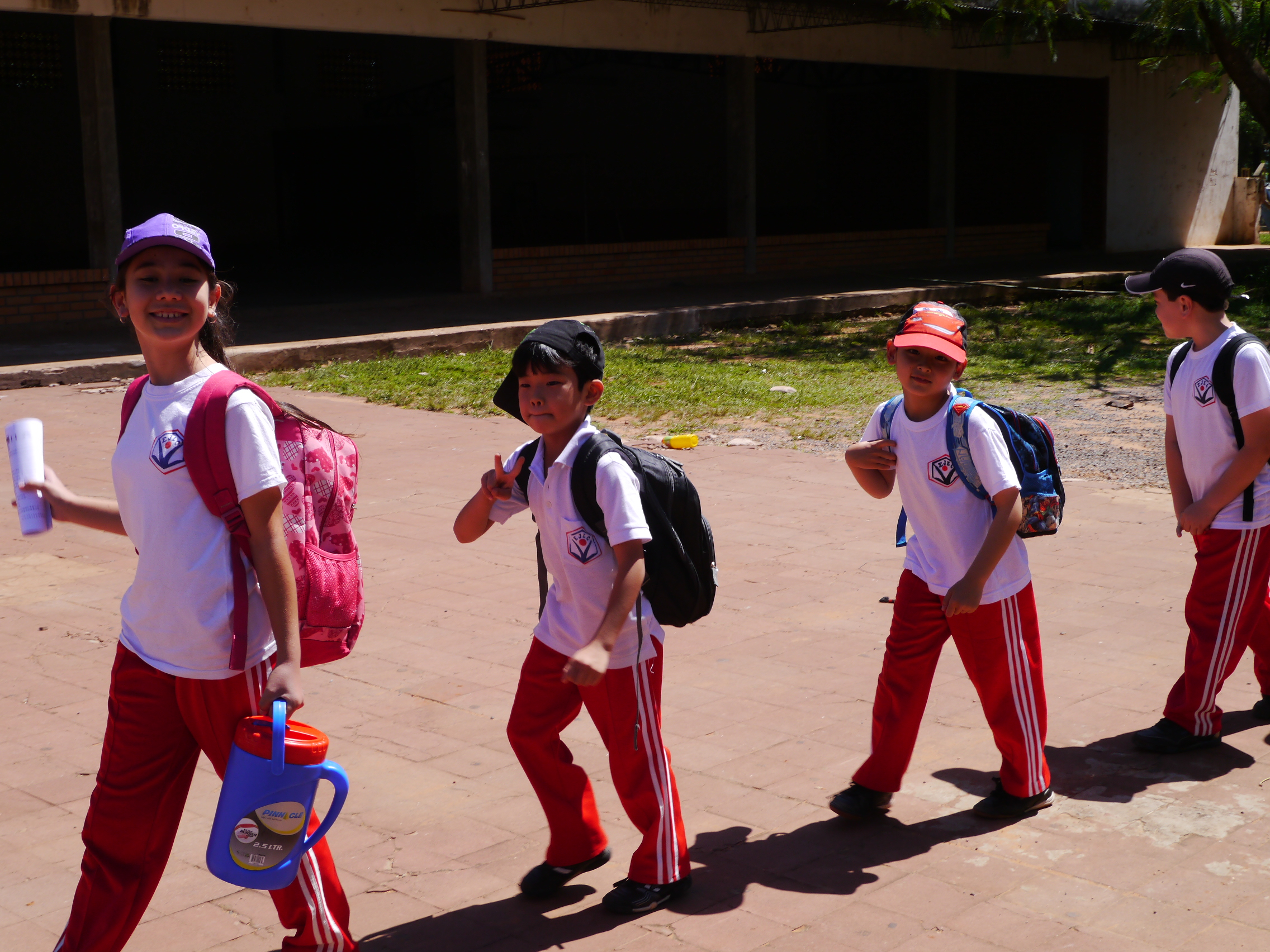 paseo パセオの様子