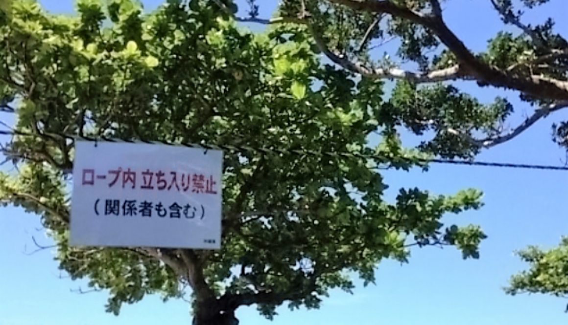 ファイル 2016-09-07 19 49 27