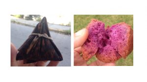 %e5%86%99%e7%9c%9f-2016-11-08-21-25-54