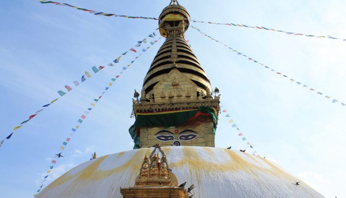 ブログ【続報】-1