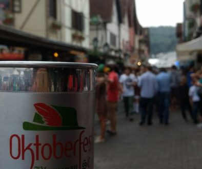 IMG_20171014_145134395